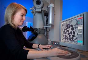 A photograph shows a woman at a desk using a scanning electron microscope. The microscope looks like a tall gray machine connected to a control pad, keyboard and a computer screen, which displays purple dots on a gray background.