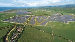 An aerial photograph shows a solar panel farm that looks like bluish-black regions surrounded by green acreage.