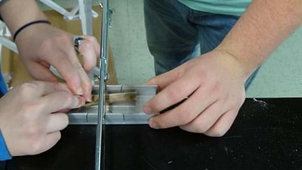A photograph shows a close-up of the hands of two students as they hold a turkey femur in place and use a hacksaw to carefully cut across the bone shaft to create a cross-section.