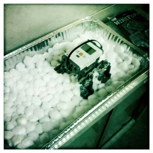 A LEGO NXT robot with claws added to its feet sits in a tray of cotton balls.
