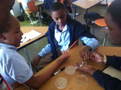 Photo shows three students using cotton swabs to streak bacteria from their hands onto Petri dishes containing agar.
