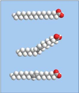 Drawings of the chemical structures for saturated fat (a), monounsaturated fat (b), and trans fat (c) created with ChemBio3D Ultra software.