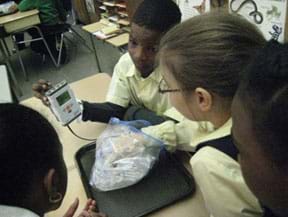 Three students at a table, one with her hand in a zip lock baggie of ice and another holding a palm-sized device with a probe and digital display.