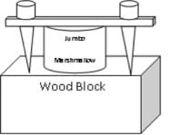 A line drawing shows a large wooden block on which rests a jumbo marshmallow with a ruler placed across its top. Weights sit atop the ruler.