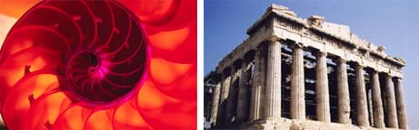 Two photos: (left) Close-up photo shows the spiraling structure of a shell. (right) A photo shows the structural ruins of a stone building formed by rows of columns on all sides that support carved top beams, its side elevations in the shapes of rectangles.