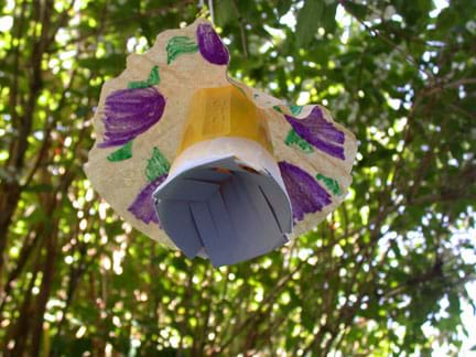 Photo shows a trap hanging in a tree.