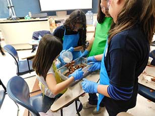 Students design natural water models in the classroom.