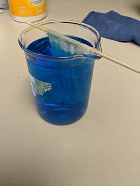 A photograph shows a beaker filled with blue liquid. A piece of cloth and skewer are suspended in the beaker of blue liquid. The skewer supports the cloth keeping it from falling completely into the liquid.