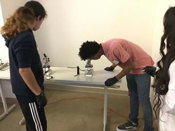 A student peers through a microscope while being observed by another students. 