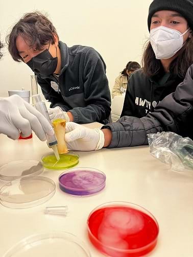 Students experiment with hydrogel designs in the laboratory.