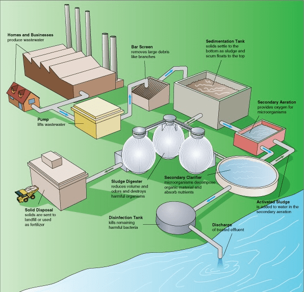 A graphic that shows the steps in a typical wastewater treatment cycle, from beginning to end. 