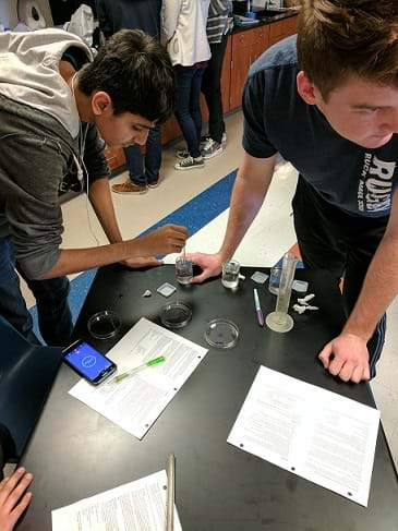 Two students at a lab table with three beakers of different concentrations they prepared of saline concentrations for mung bean treatment. 