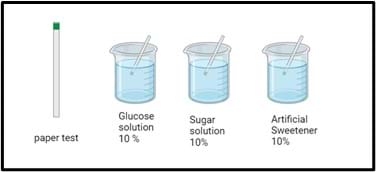 An image showing a paper test strip and three beakers, each containing a clear liquid labeled as 10% glucose solution, 10% sugar solution, and 10% artificial sweetener, with stirring rods inside the beakers. The paper test strip has a small green square at the top, indicating the reacting area.