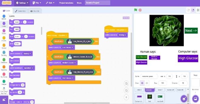A screenshot of the Scratch project interface. On the right side is a picture of a vegetable; the left side displays the block code exported from Machine Learning for Kids. The code is capable of classifying the image of the vegetable as having a low glucose index. 