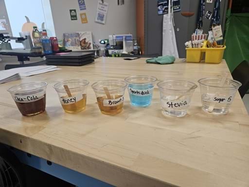 A photo showing six cups, each containing a liquid labeled as cola, honey, brown sugar, sports drink, Stevia, or sugar. with stirring popsicle sticks inside the cups. 