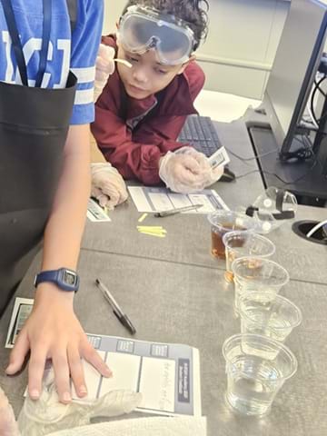 A photo showing a student leaning over a table near testing cups.