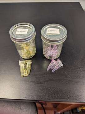 A photo of two glass jars with metal lids sitting on a black tabletop. Each jar lid is labeled. The jar on the left is labeled “Lemon yellow” and contains small yellow plastic clips. The jar on the right is labeled “Raspberry” and contains small pink plastic clips. In front of the jars are a few loose clips matching the colors in each jar—yellow clips on the left and pink clips on the right.