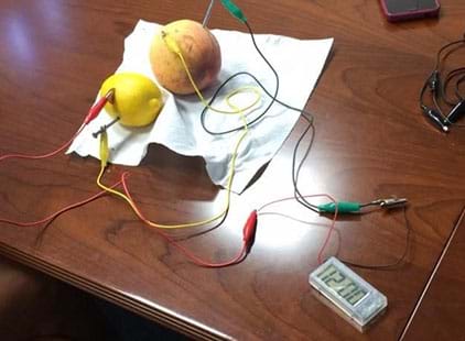 A photograph showing a lemon and a potato instrumented so that electrical energy from each can be measured.