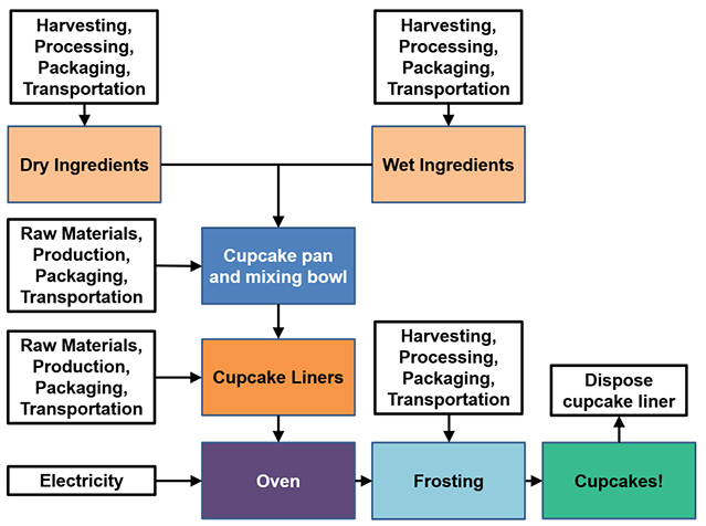 Plant Life Cycle Flow Chart