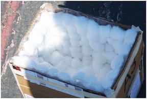 A photograph shows a cardboard box with the inside walls and inside bottom padded with a thick layer of glued-on cotton balls.