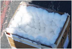 A photograph shows a cardboard box with the inside walls and inside bottom padded with a thick layer of glued-on cotton balls. A photograph shows a cardboard box with the inside walls and inside bottom padded with a thick layer of glued-on cotton balls.