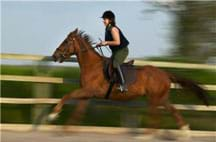 A photograph shows a woman with a helmet riding a galloping horse inside a fenced area.