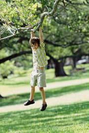 A photograph shows a young boy hanging by his hands from the branch of a tree, with his feet not touching the ground.
