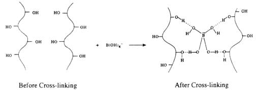 A diagram shows the polyvinyl acetate polymer before cross-linking and after cross-linking.