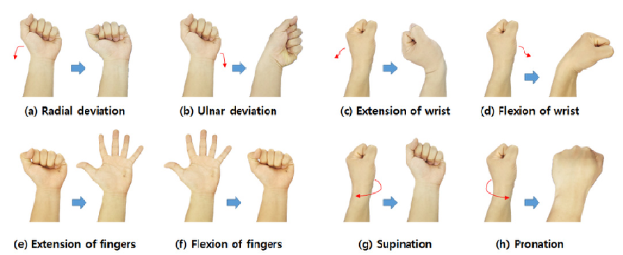 A figure demonstrating the motion of wrists based on the three gestures of the activity, roll, pitch, and yaw. 