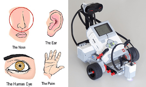 (left) Four drawings of human body parts (nose, ear, eye and hand/palm) representing four human senses (smell, hearing, sight and touch). (right) A photograph shows a LEGO MINDSTORMS EV3 robot on a tabletop with a color sensor attached.
