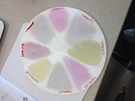 A photograph shows a circular coffee filter with different labeled dye marks.
