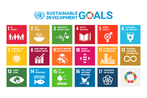 The Sustainable Development Goals