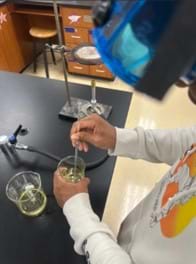 A photo of a student stirring a beaker with a yellow fluid in it. A Bunsen burner and ring stand are set up nearby.