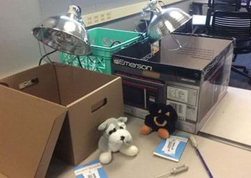 A photograph shows two cardboard boxes, each with a clamp lamp positioned to shine into the boxes where the doghouse design prototypes are placed for testing.