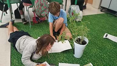 Two students sitting on the floor with safety goggles on, observing their plant and writing their observations in their science lab notebooks.