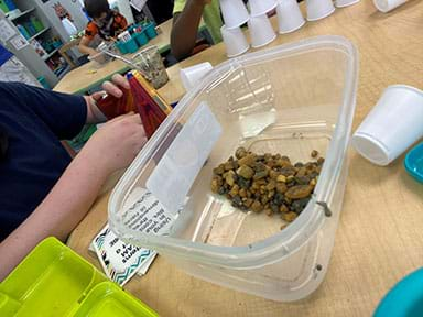 A picture of a seawall in a container with rocks and cement before sand and water test.