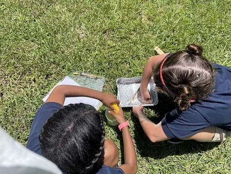 A photograph shows one student squeezing water and oil into a beaker using a sponge. Another student next to her is using a cotton ball to absorb the water and oil. 