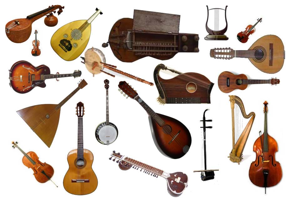 A picture of various stringed instruments.