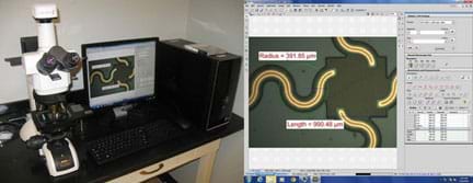 Two images: A photograph shows equipment on a table top: a Nikon Eclipse LV100ND microscope with attached Lumenera Infinity1 video camera and a desktop computer with NIS-Elements 4.20 imaging software. A screen capture shows the user interface of the NIS-Elements 4.20 imaging software, including a right-side panel with an ample set of measurement tools. Example radius and length measurements are shown.