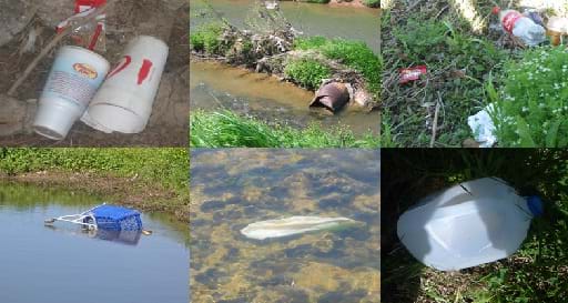 Six photos shows different kinds of trash: Styrofoam cups in some dirt, flowing waters with metal corrugated piping in view, plastic package and polyethylene drink bottle in grass and bushes, blue plastic shopping cart half submerged in stream, plastic bag stretched out along rocky stream bottom and stretched in the flow, and plastic milk jug.
