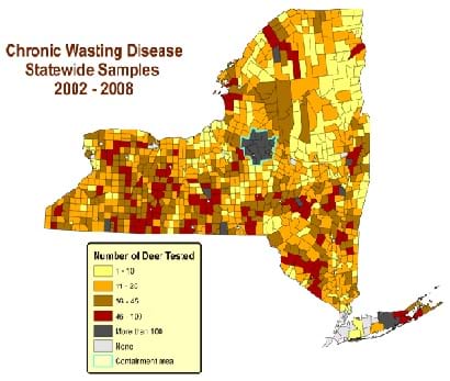 A map of NY state with small sections of various colors as explained in a color key (# of deer tested for disease). Lighter shades of yellow and orange indicate fewer deer tested while brown, orange and red indicate larger numbers of deer tested.