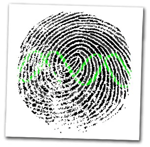 Image of a fingerprint superimposed with a DNA double helix.