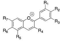 Line drawing shows three connected hexagonal shapes with O and R subscript 1-7 indicated at outer corner locations.