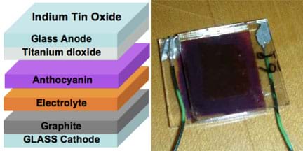 Two images: (left) A diagram shows a stack of layers from bottom to top: glass cathode, graphite, electrolyte, anthocyanin, glass anode with the titanium dioxide on the bottom and indium tin oxide on the top. (right) Photo shows dark materials sandwiched between two squares of glass; a wire lead is attached to each glass plate with solder.