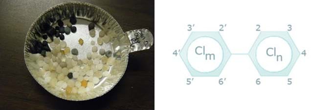 A photo shows a small aluminum pie plate containing tiny white, yellow, and black plastic "pebbles."  A chemical line structure shows tow aromatic rings connected by a single carbon-to-carbon bond. On the points of the hexagonal rings are position numbers that indicate where single chlorines can attach in different combinations.