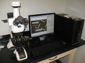 A photograph shows a tabletop with a Nikon Eclipse LV100ND microscope with attached Lumenera Infinity1 video camera and a personal computer with NIS-Elements 4.20 imaging software.