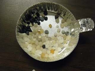 A photograph shows a small aluminum pie plate filled with tiny white, yellow, and black "pebbles" of plastic set on a wood table top. The view is looking down into the pie plate.