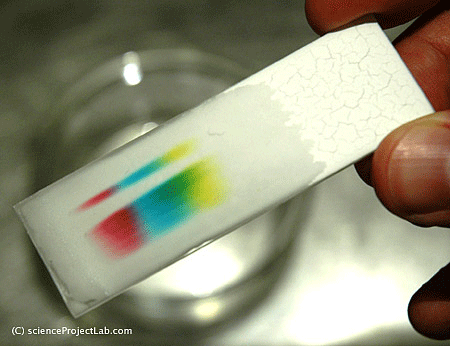 Photo shows a filter paper with four colors (red, blue, green yellow).