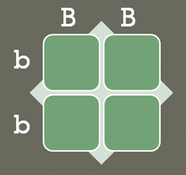 A four-square grid with columns titled, B and B, and rows titled b and b. The four square cells are each empty.