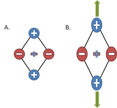 A schematic shows a diamond shape composed of positive signs on the top and bottom and negative signs on the left and right. Next to this diagram is the diagram in the same shape, but stretched vertically.